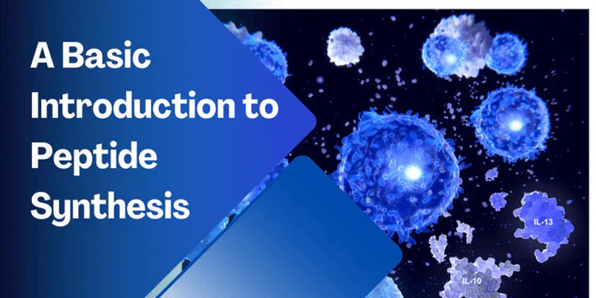 A Basic Introduction To Peptide Synthesis