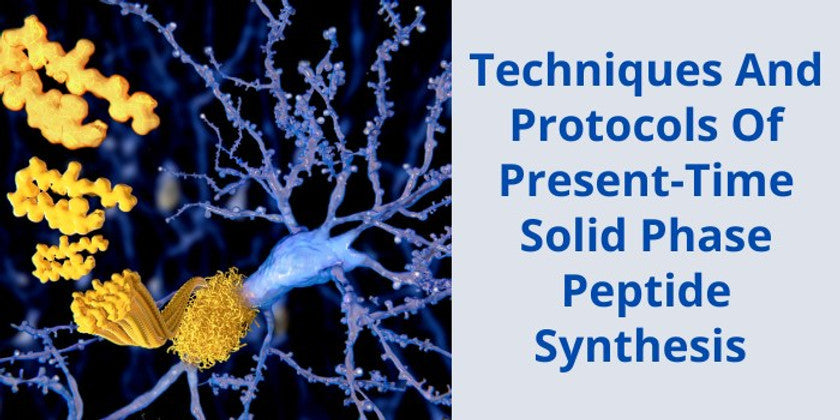 Techniques And Protocols Of Present-Time Solid Phase Peptide Synthesis