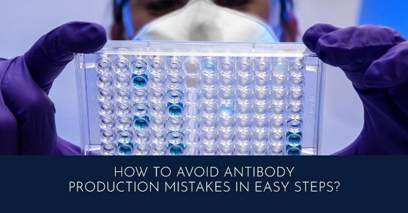 How to Avoid Antibody Production Mistakes In Easy Steps?