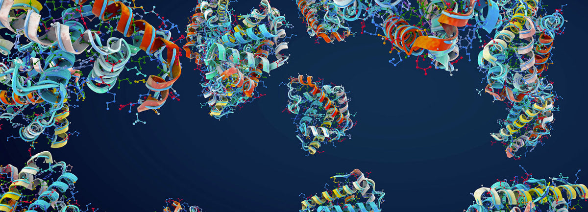 Proteins