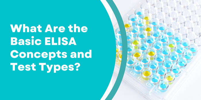 What Are the Basic ELISA Concepts and Test Types? | Biomatik