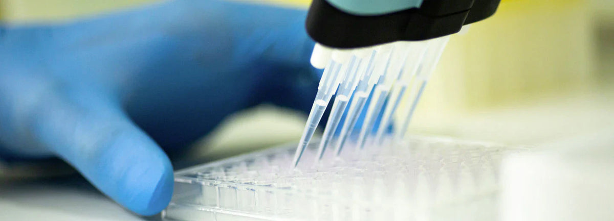 ELISA Kits