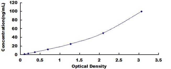 Standard Curve
