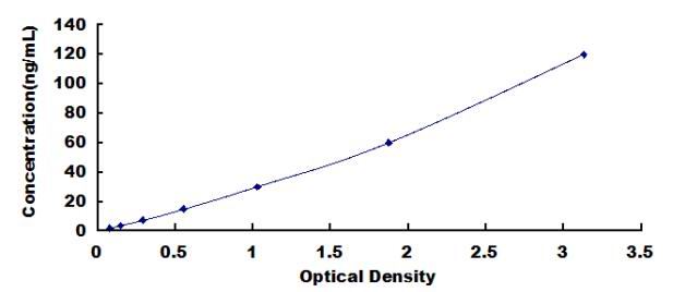 Standard Curve