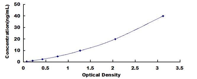 Standard Curve
