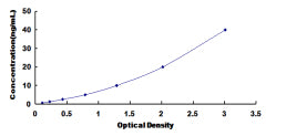 Rat Bcl2/Adenovirus E1B 19kDa Interacting Protein 3 (BNIP3) ELISA Kit