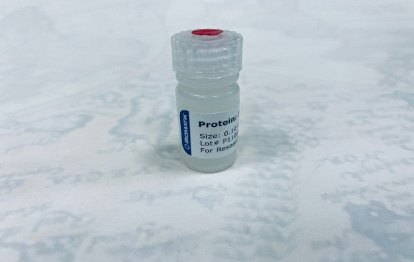 Recombinant Human Legumain (LGMN) , Cat#RPC30792