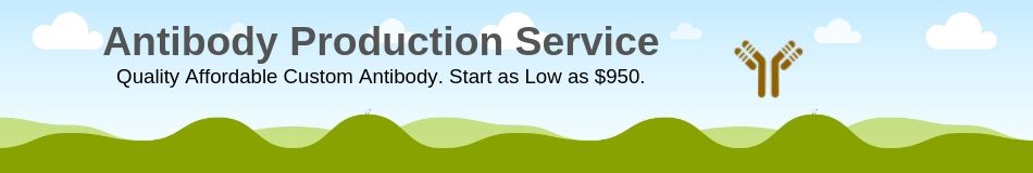 Custom monoclonal Production