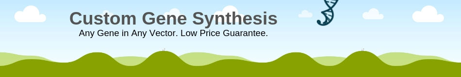 custom gene synthesis service