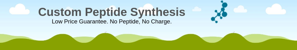 custom-peptide-synthesis